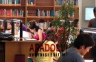 Dil Okulları Kadıköy
